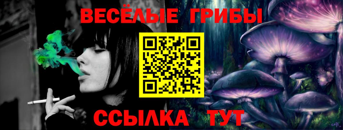 Миасс  Галлюциногенные грибы Cubensis  Вход с VPN 